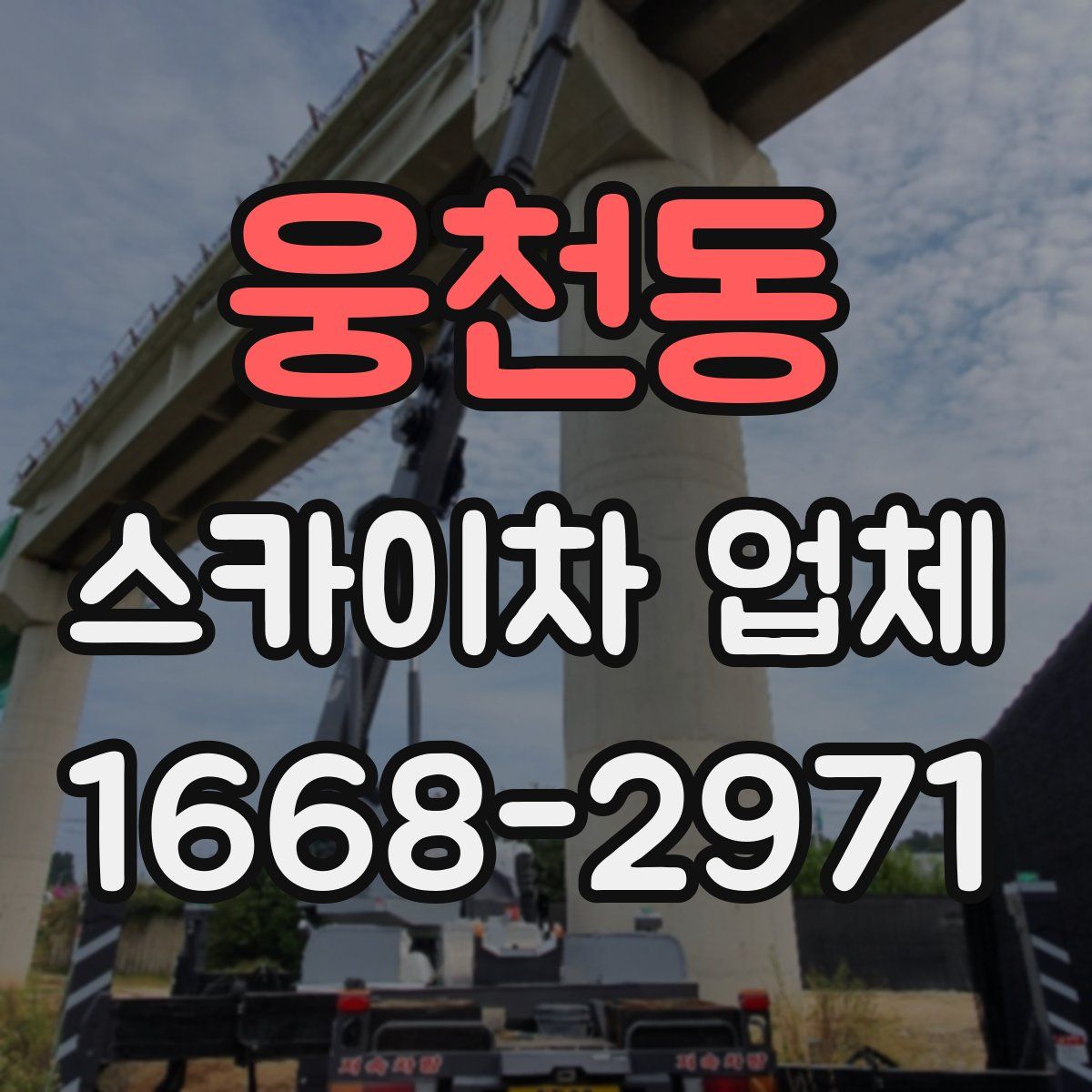 웅천동 스카이차 업체
