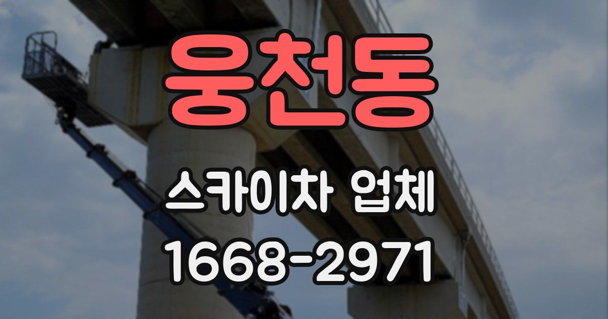 웅천동 스카이차 업체