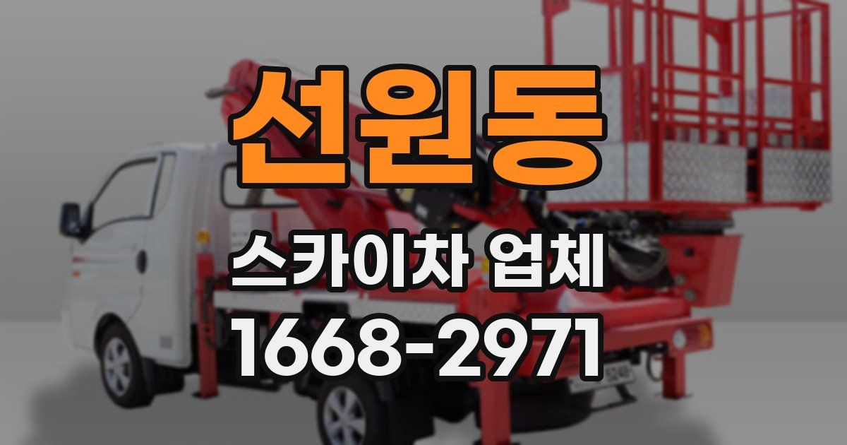 선원동 스카이차 업체