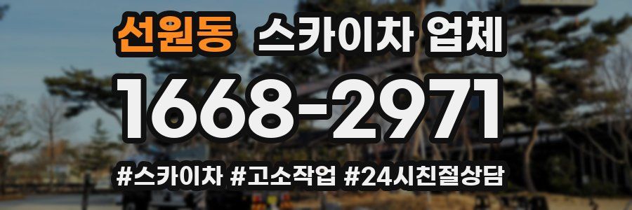 선원동 스카이차 업체