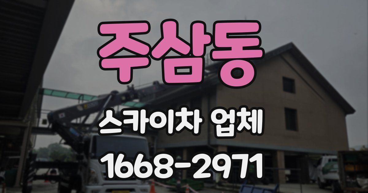 주삼동 스카이차 업체
