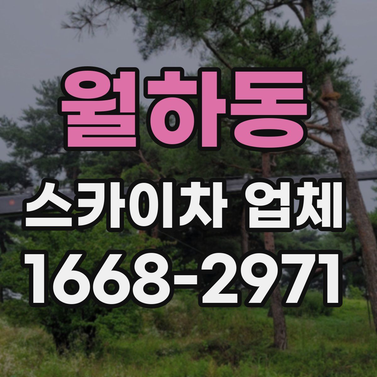 월하동 스카이차 업체