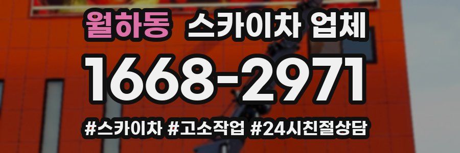 월하동 스카이차 업체