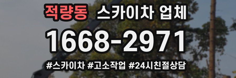 적량동 스카이차 업체