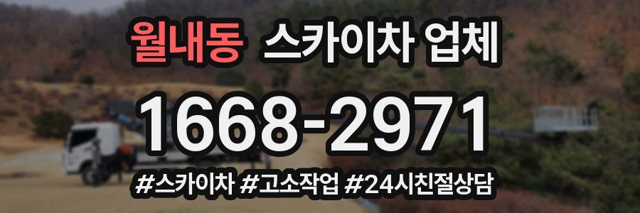 월내동 스카이차 업체