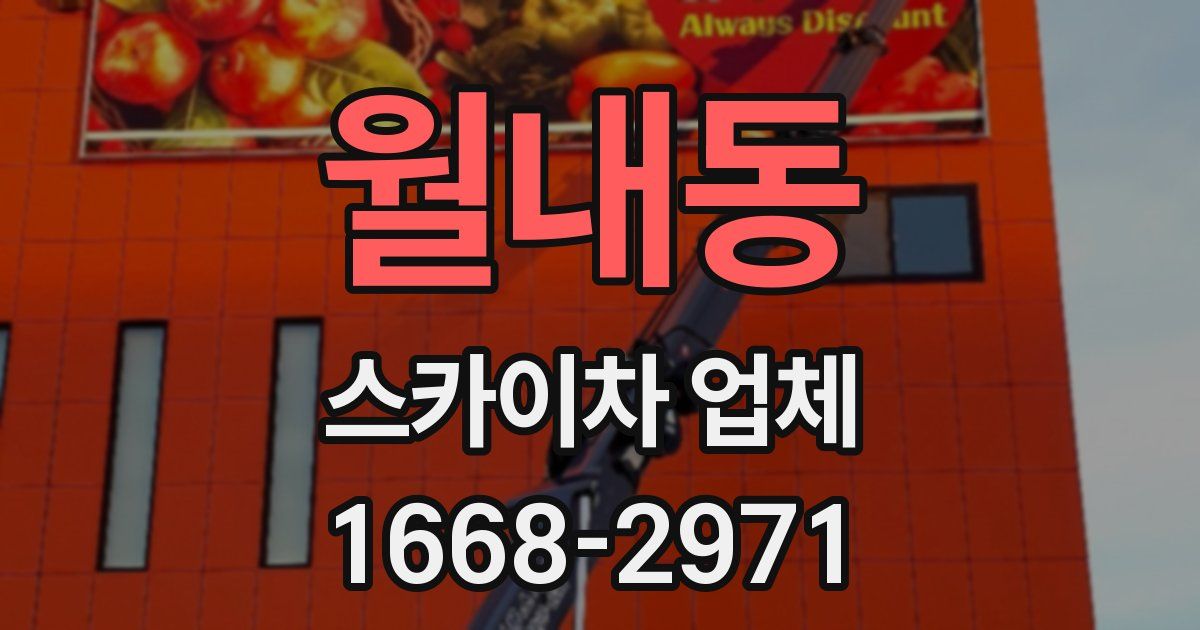 월내동 스카이차 업체