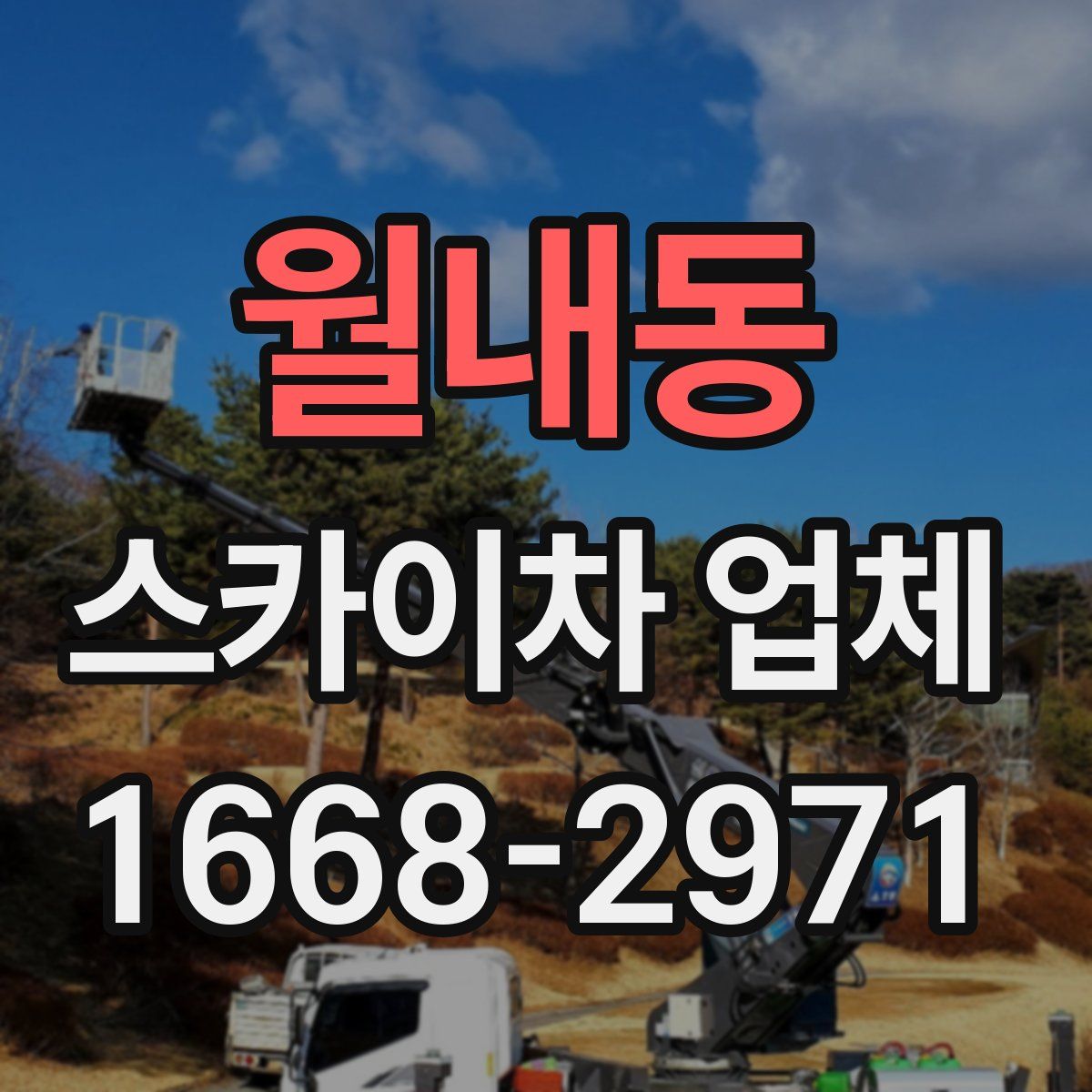 월내동 스카이차 업체
