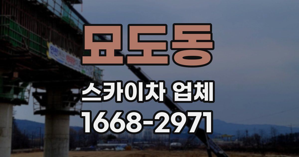 묘도동 스카이차 업체