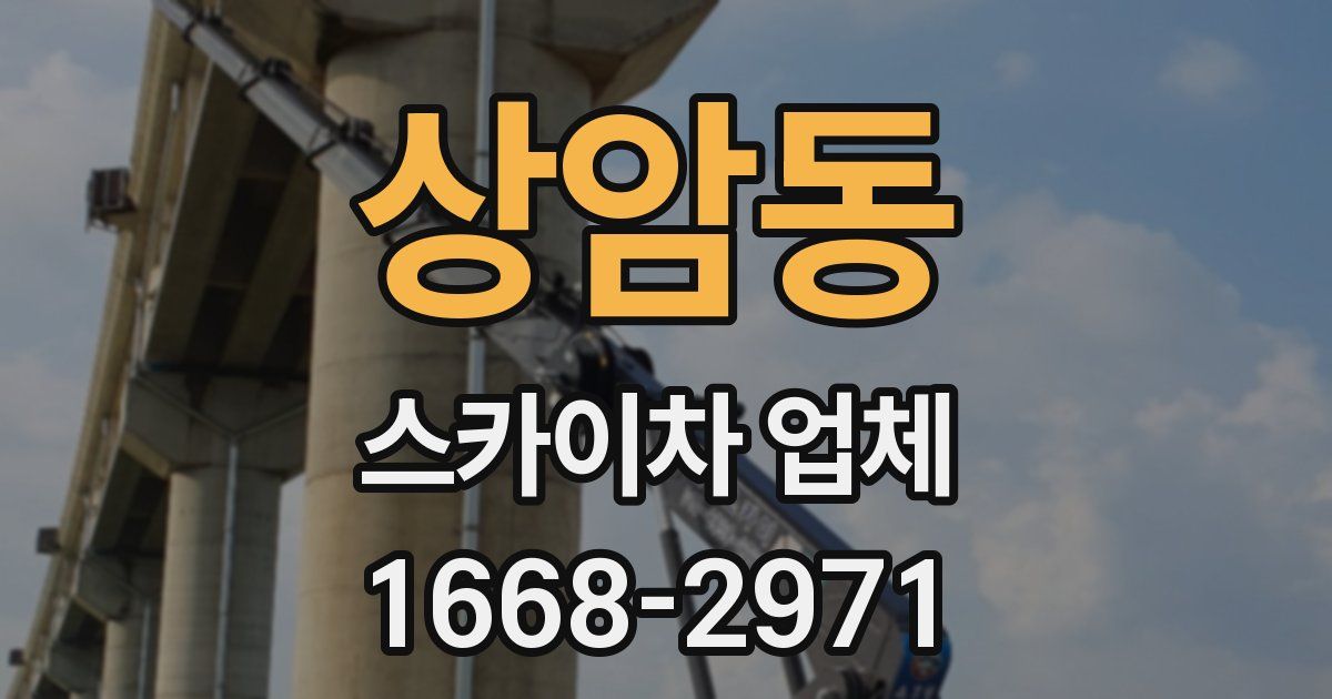 상암동 스카이차 업체