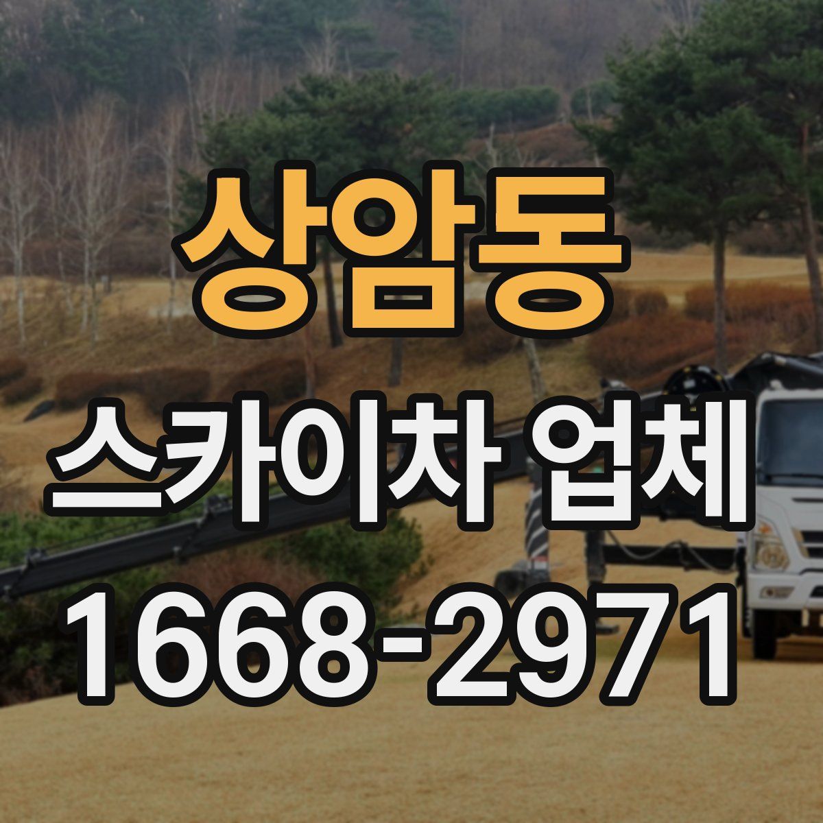 상암동 스카이차 업체