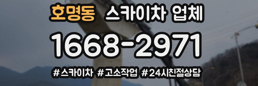 호명동 스카이차 업체