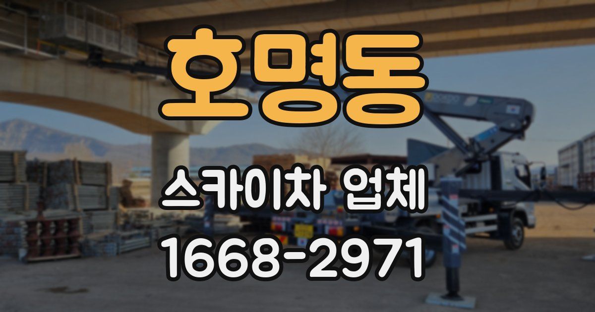 호명동 스카이차 업체