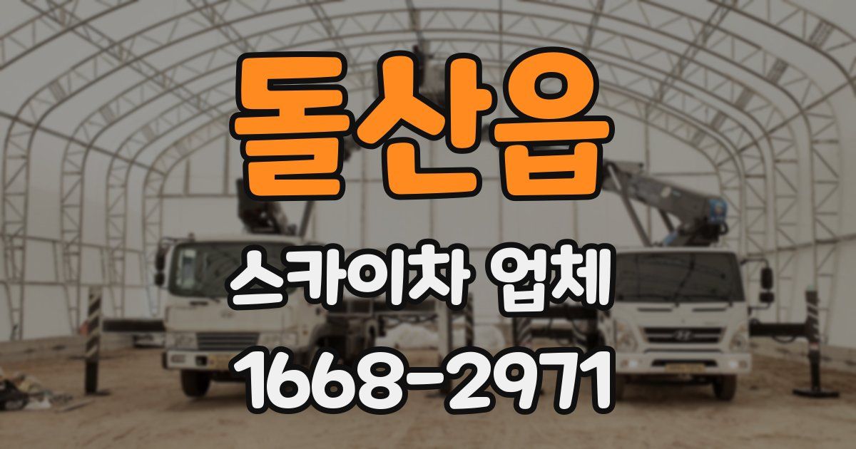 돌산읍 스카이차 업체