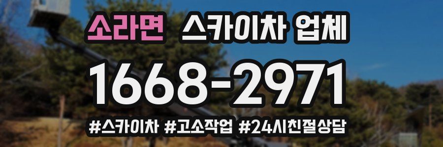 소라면 스카이차 업체