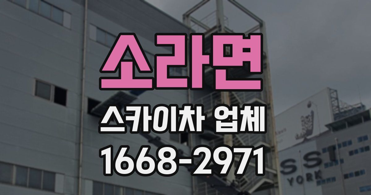 소라면 스카이차 업체