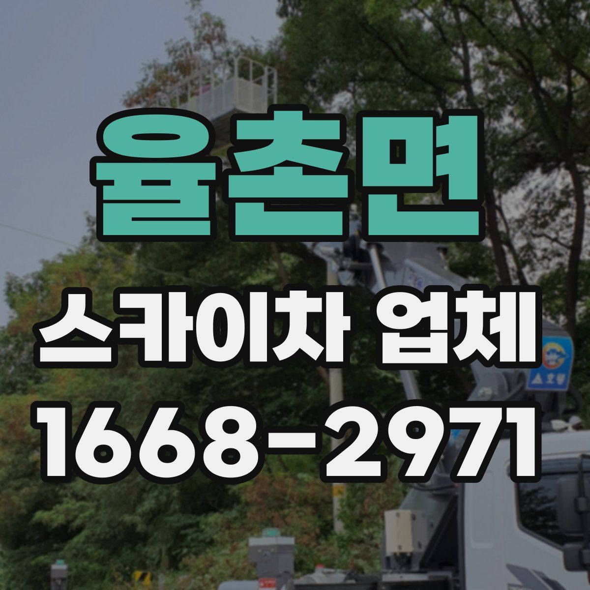 율촌면 스카이차 업체
