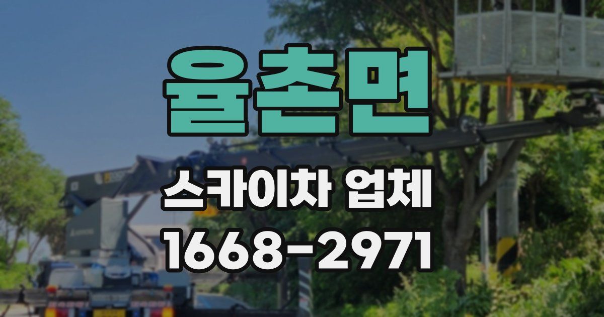 율촌면 스카이차 업체