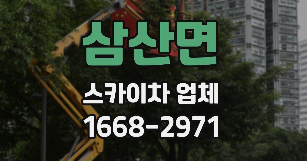 삼산면 스카이차 업체