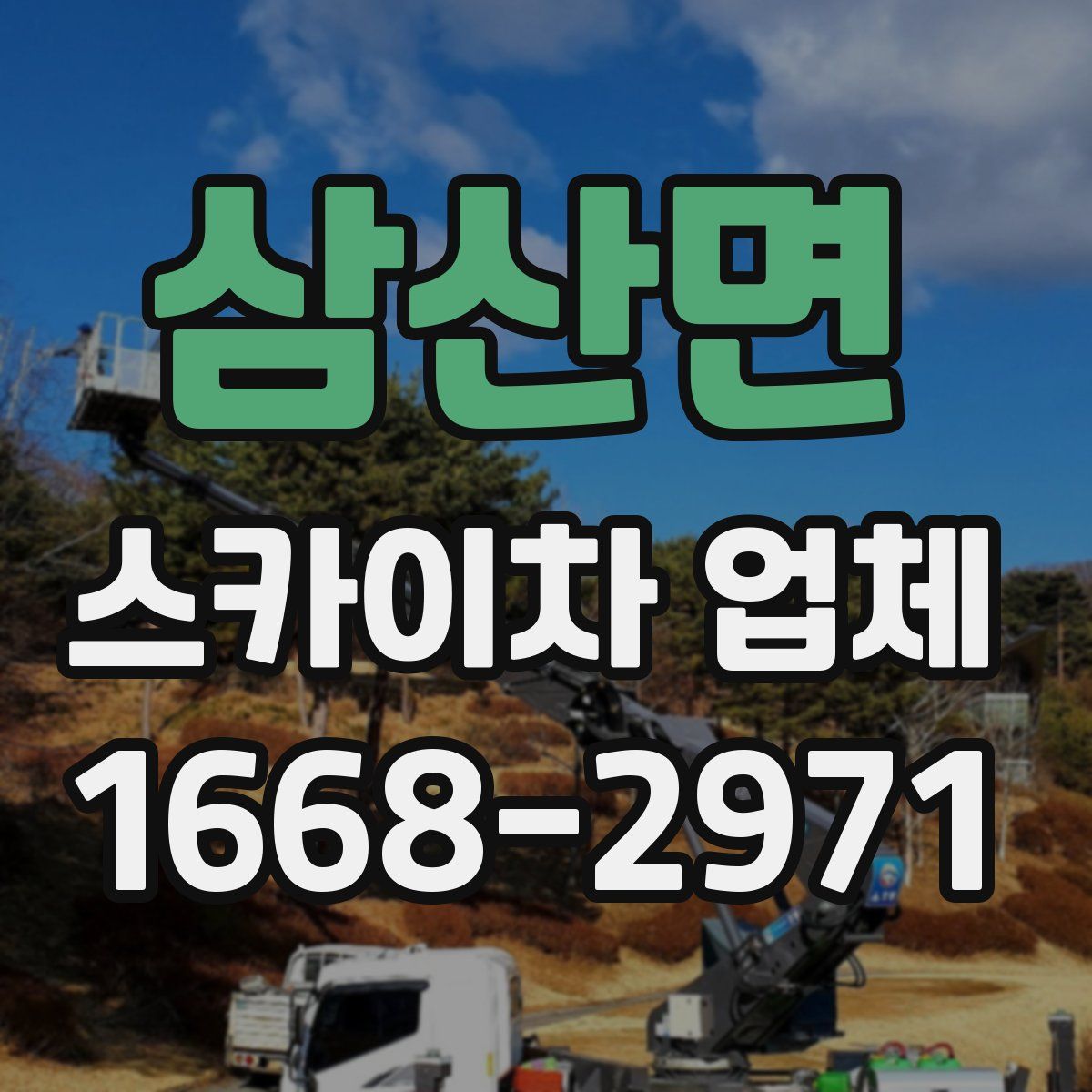 삼산면 스카이차 업체