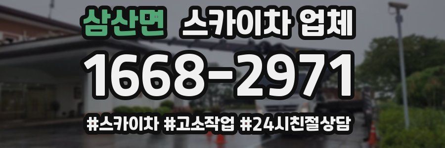 삼산면 스카이차 업체