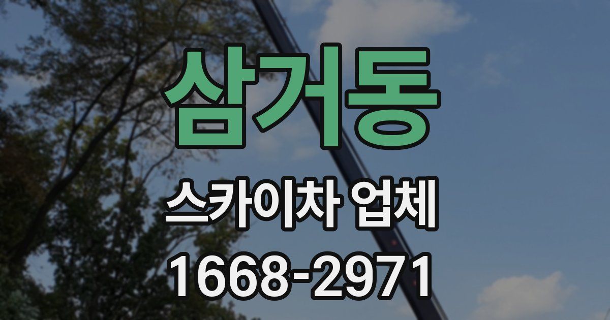 삼거동 스카이차 업체