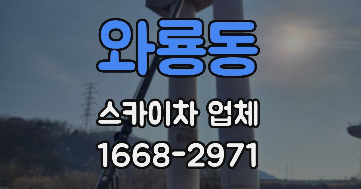 와룡동 스카이차 업체