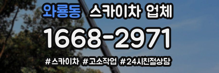 와룡동 스카이차 업체
