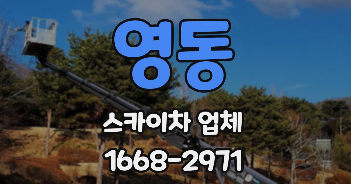 영동 스카이차 업체