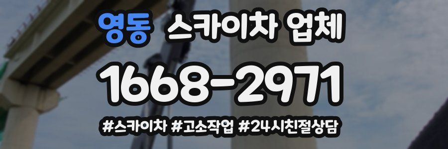 영동 스카이차 업체