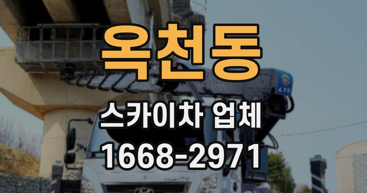 옥천동 스카이차 업체