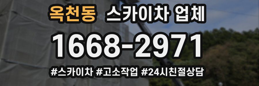 옥천동 스카이차 업체