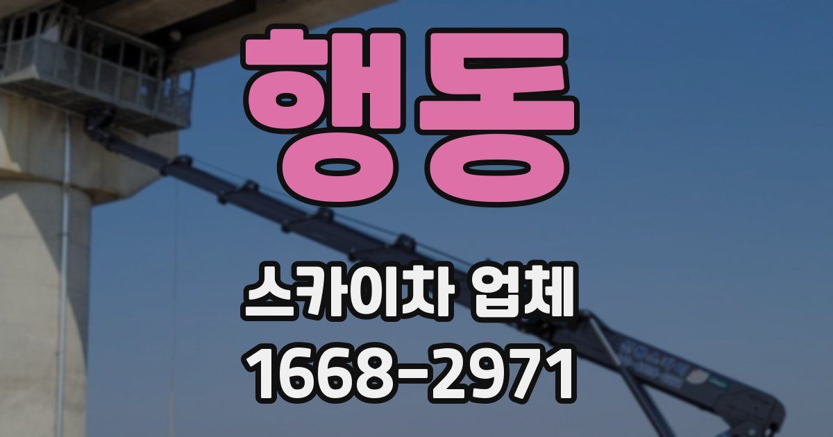 행동 스카이차 업체