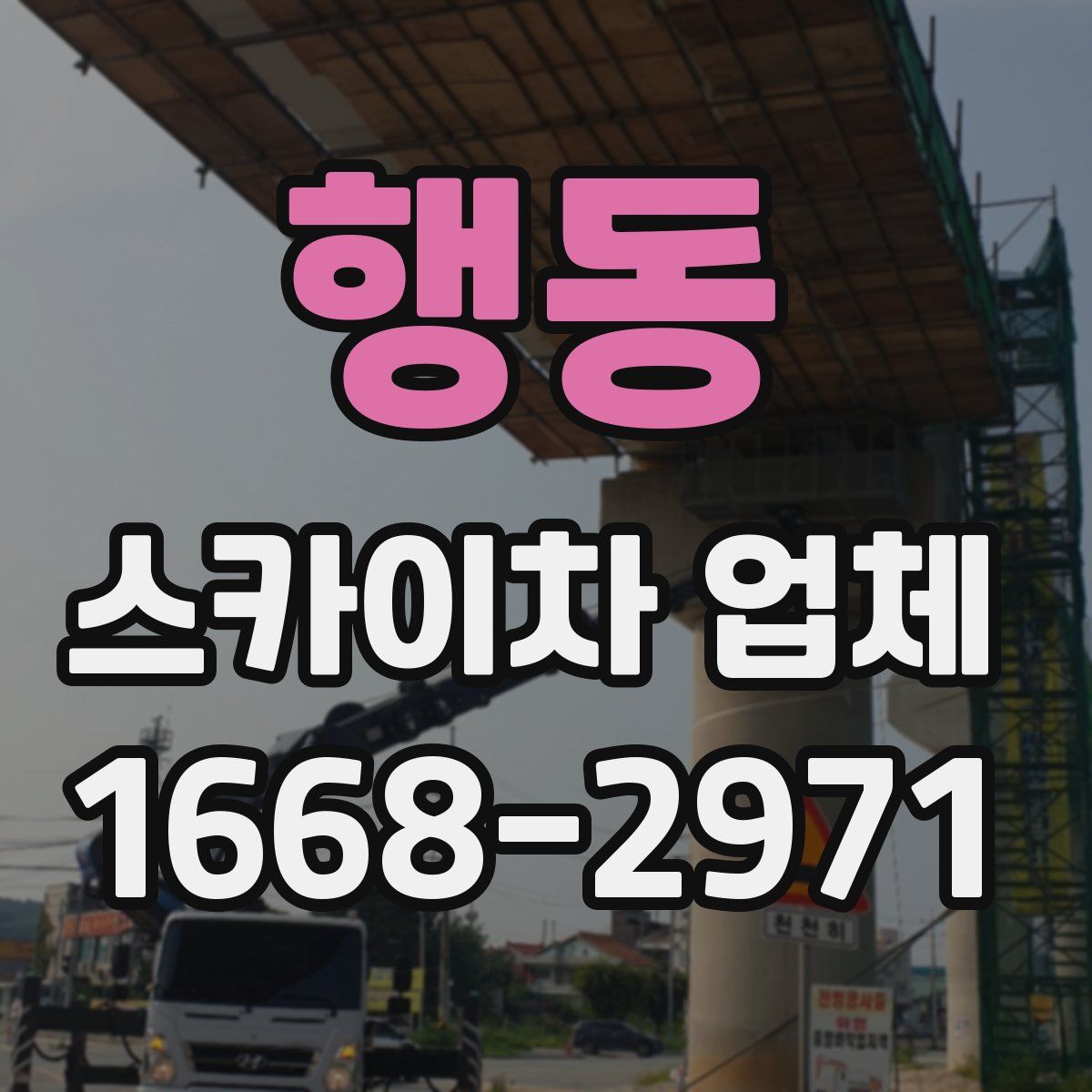 행동 스카이차 업체