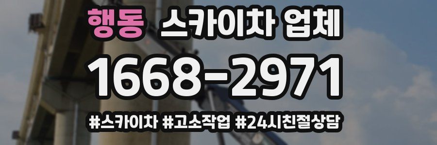 행동 스카이차 업체