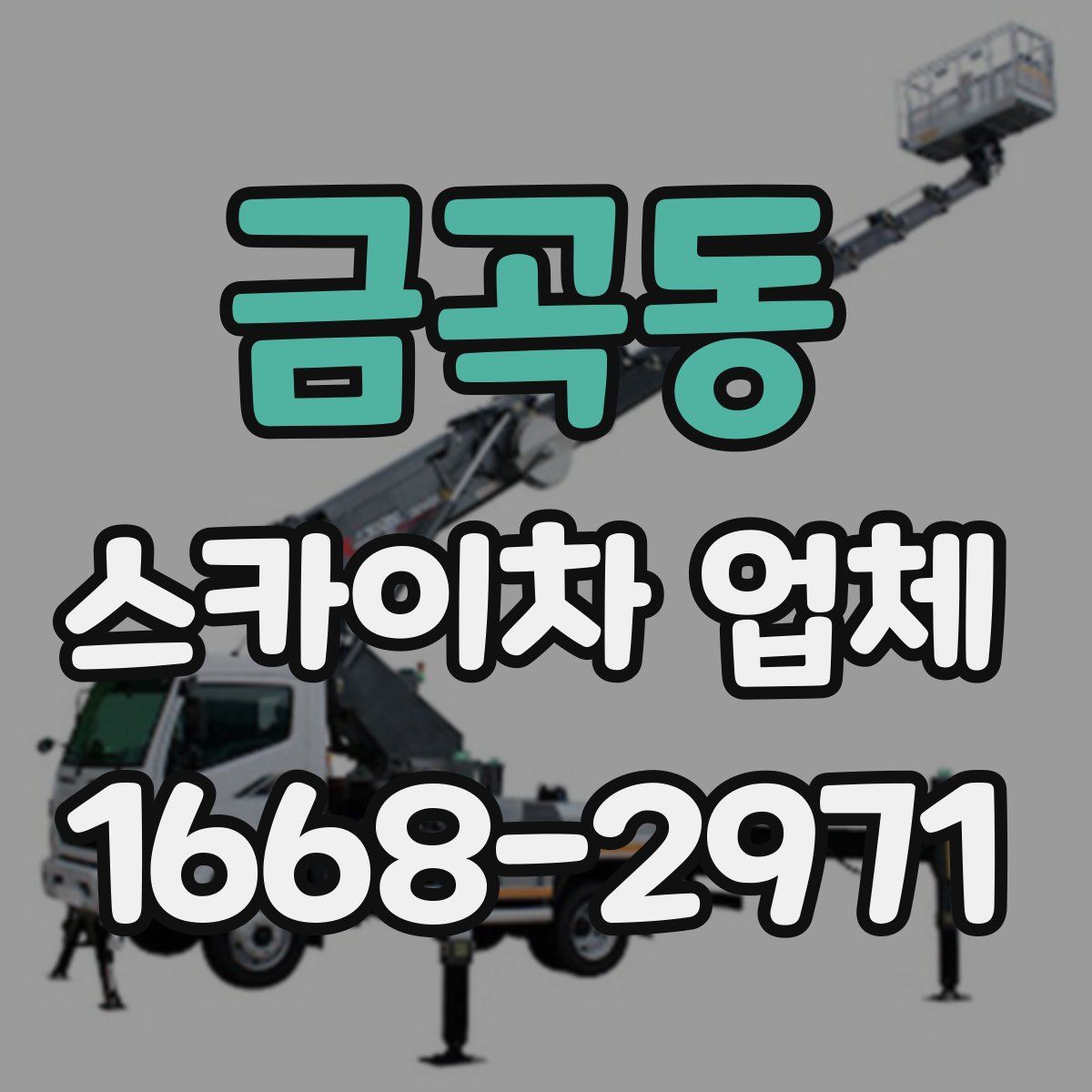 금곡동 스카이차 업체