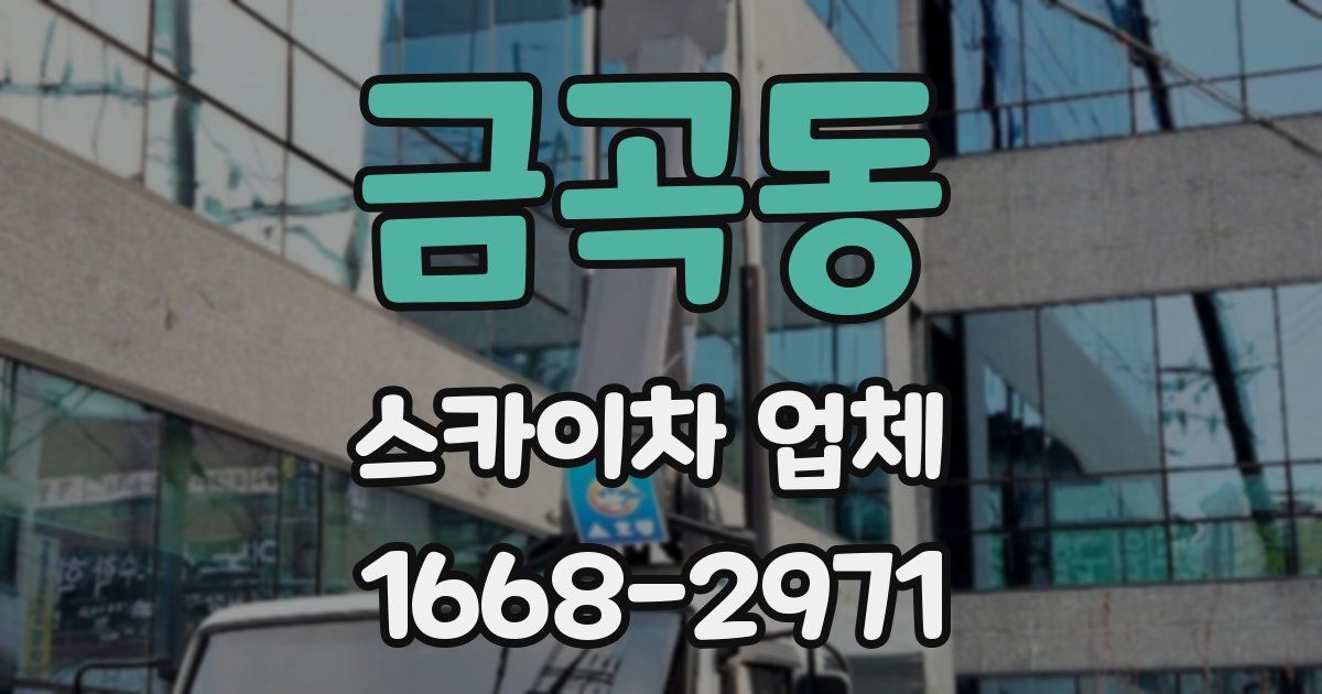 금곡동 스카이차 업체