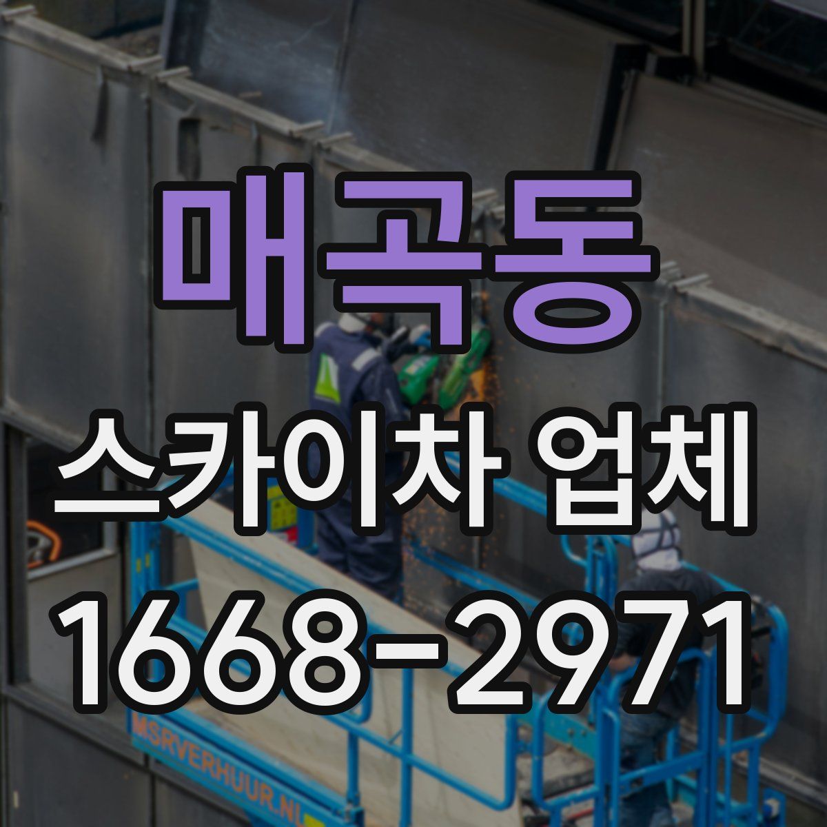 매곡동 스카이차 업체