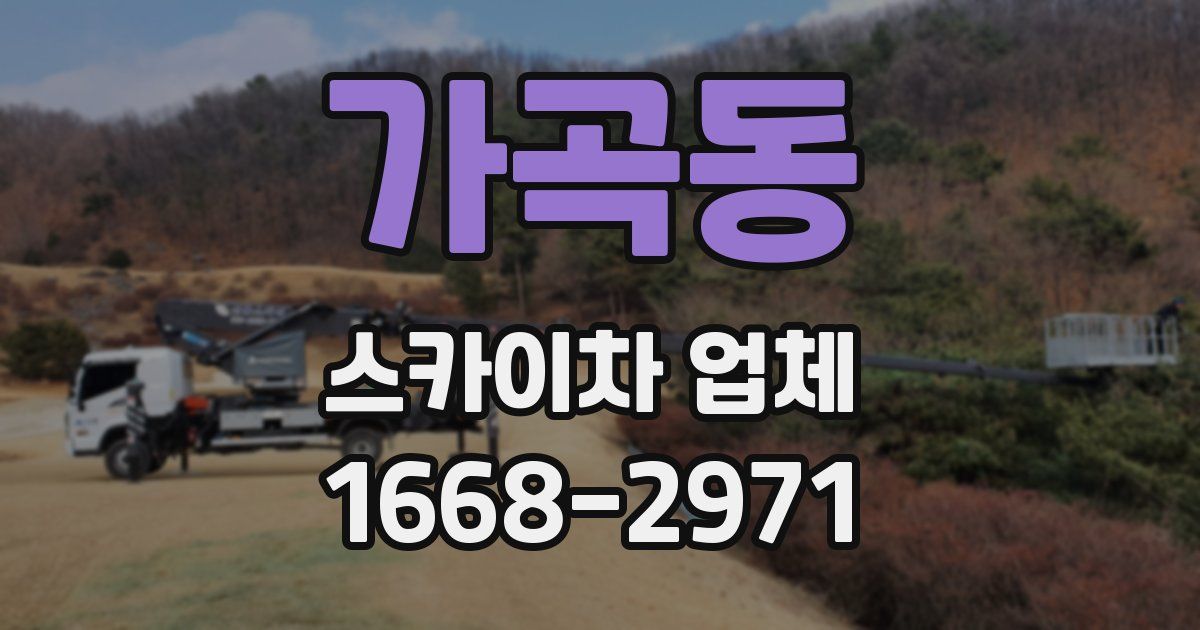 가곡동 스카이차 업체