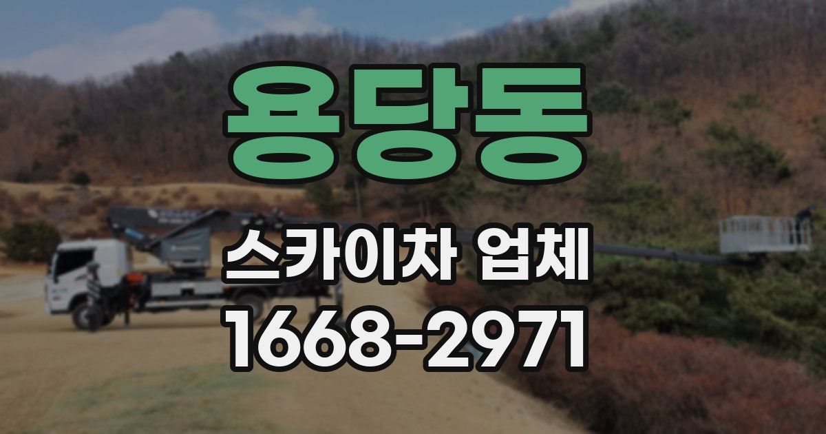 용당동 스카이차 업체