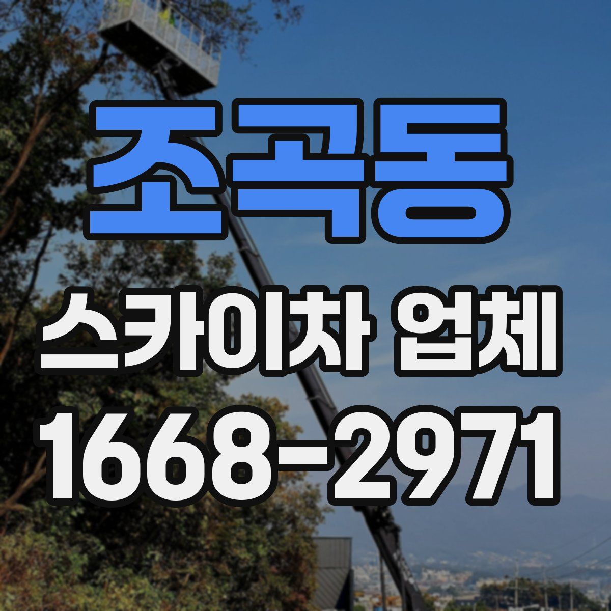 조곡동 스카이차 업체