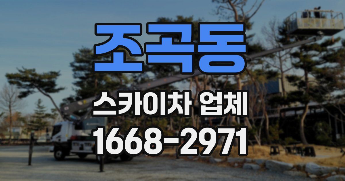 조곡동 스카이차 업체