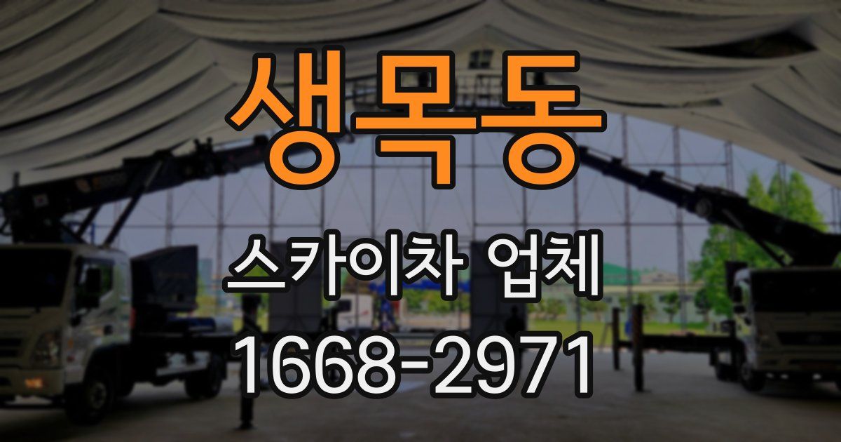 생목동 스카이차 업체