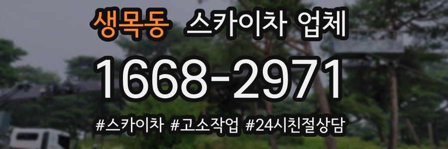 생목동 스카이차 업체
