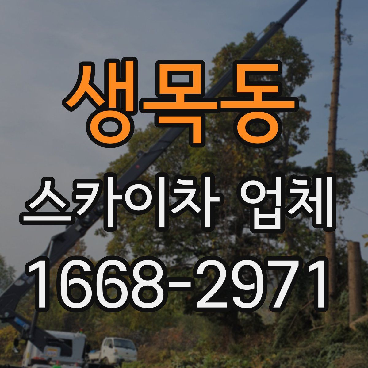 생목동 스카이차 업체