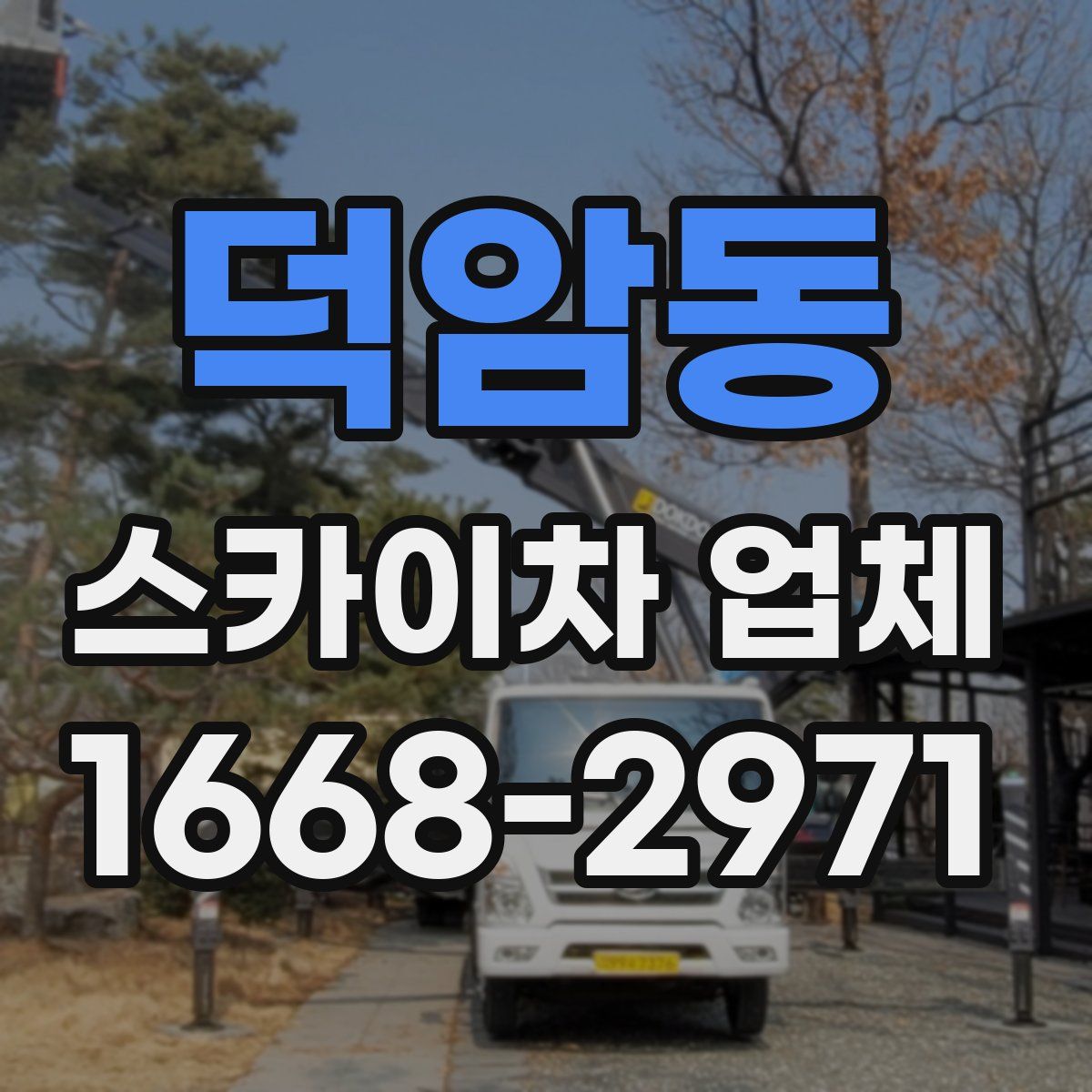 덕암동 스카이차 업체