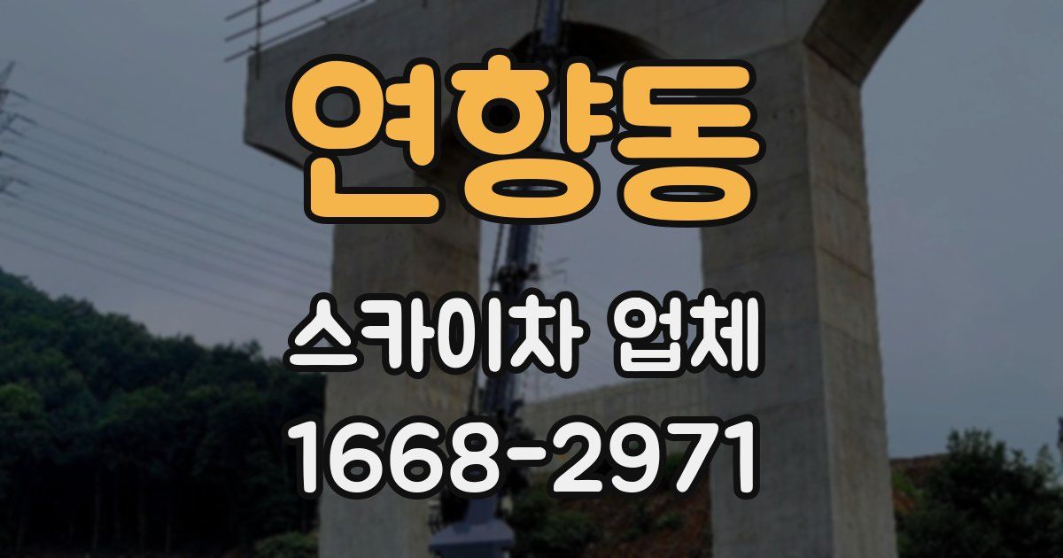 연향동 스카이차 업체