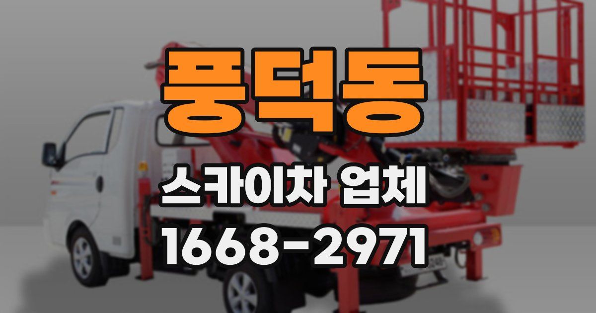 풍덕동 스카이차 업체