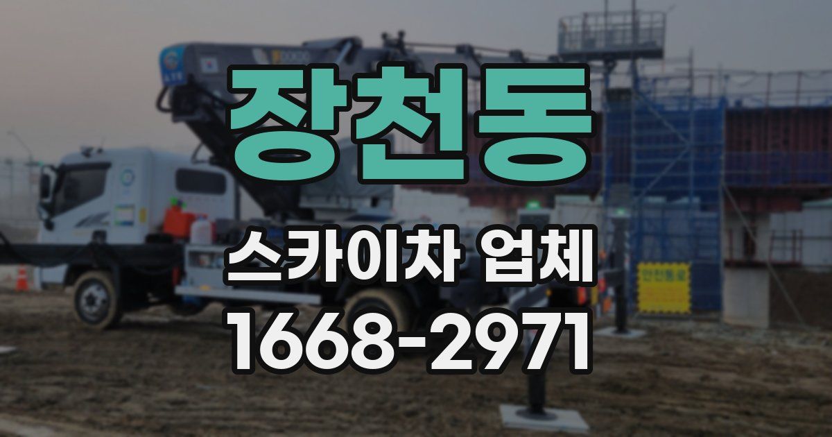 장천동 스카이차 업체