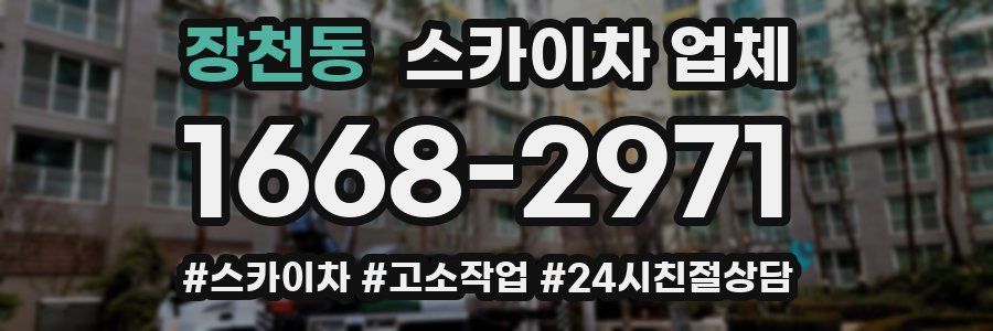 장천동 스카이차 업체