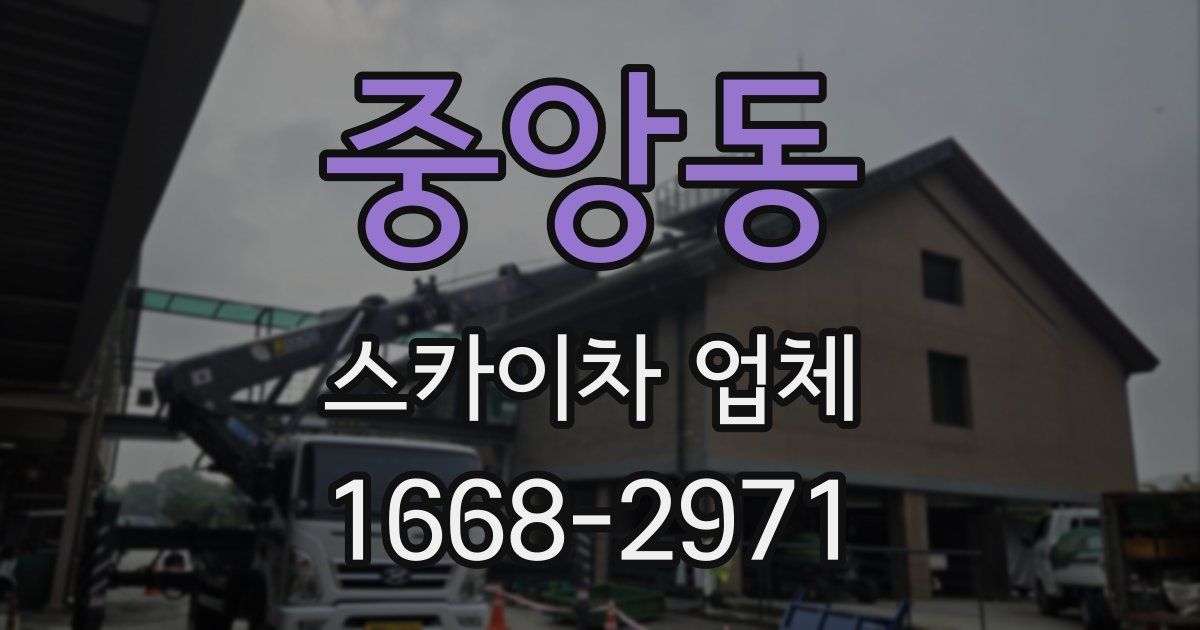 중앙동 스카이차 업체